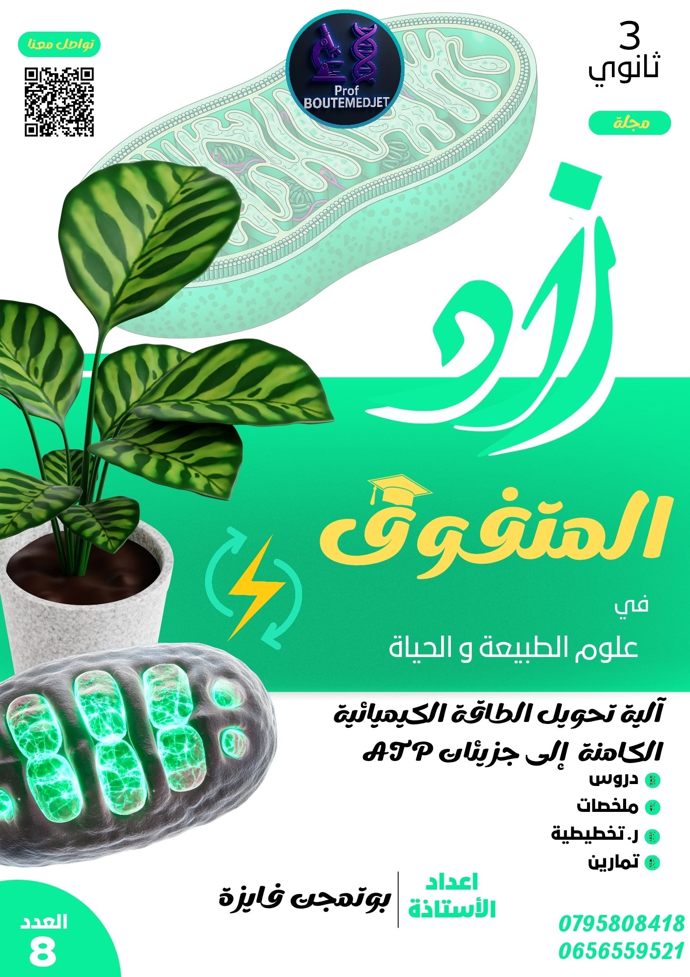 Book Design 7