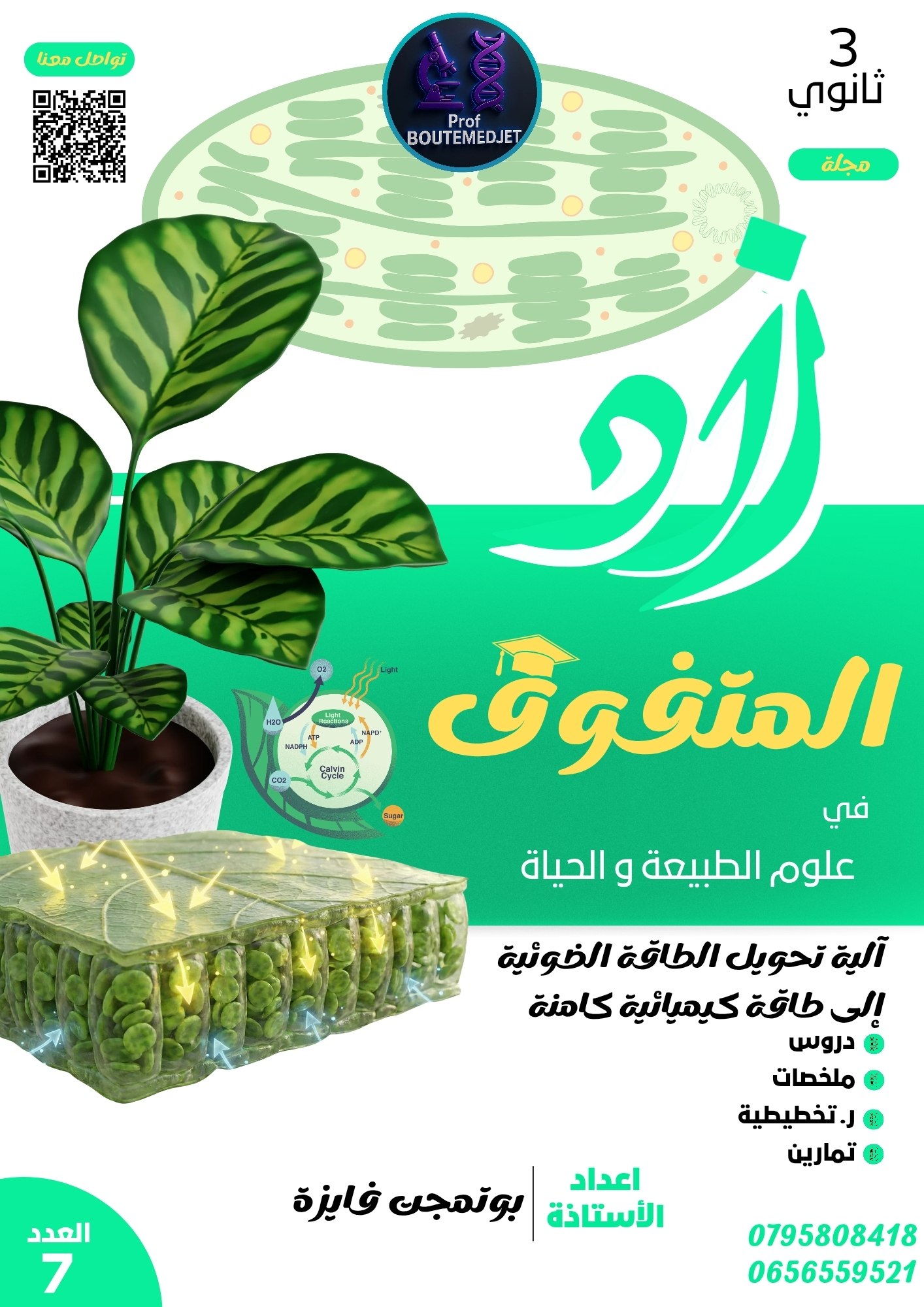Book Design 8